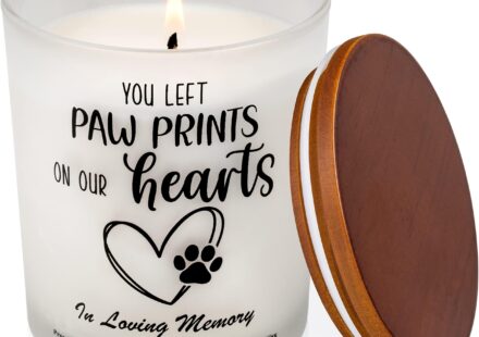 Ettore Gattolin Obituary, Ontario Death - Beloved Family Mourns