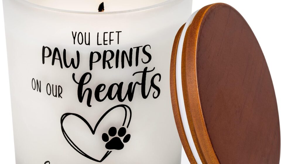 Ettore Gattolin Obituary, Ontario Death - Beloved Family Mourns